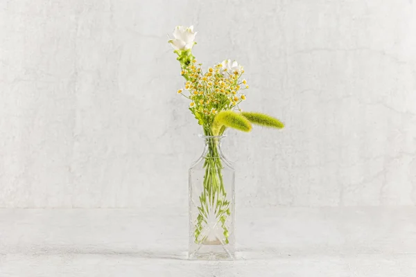 סידור אביבי 50 שח