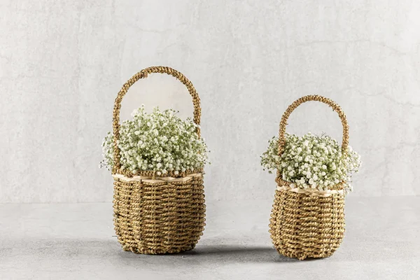 סידור גבסנית בכלי קש 80 שח קטן