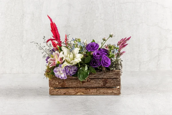 סידור כלי עץ צבעוני 140