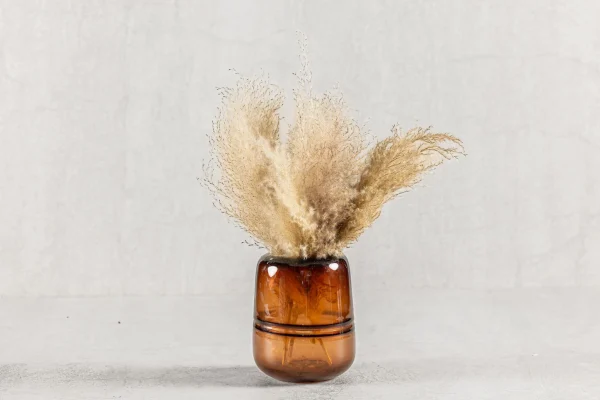 סידור פמפס בכלי חום 100 שח