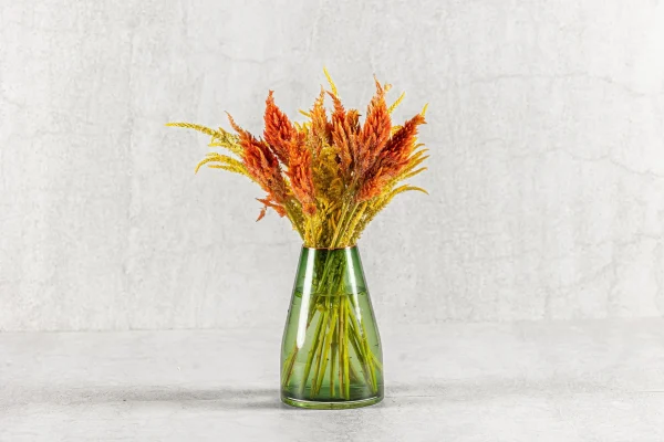 צלוזיות תלוי עונה 80 שח