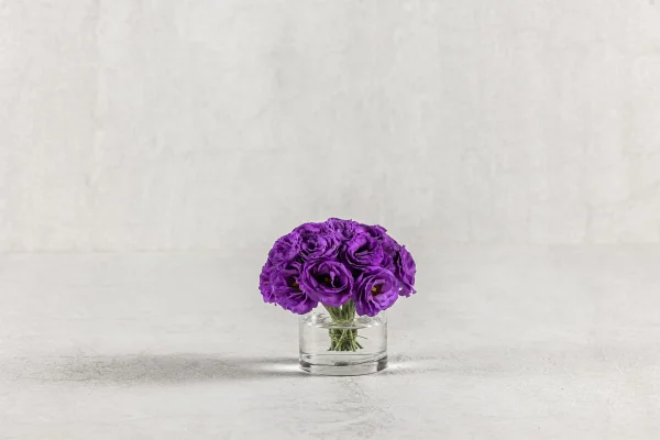 קיטומי ליזיאנטוס 50 שח כלי זכוכית